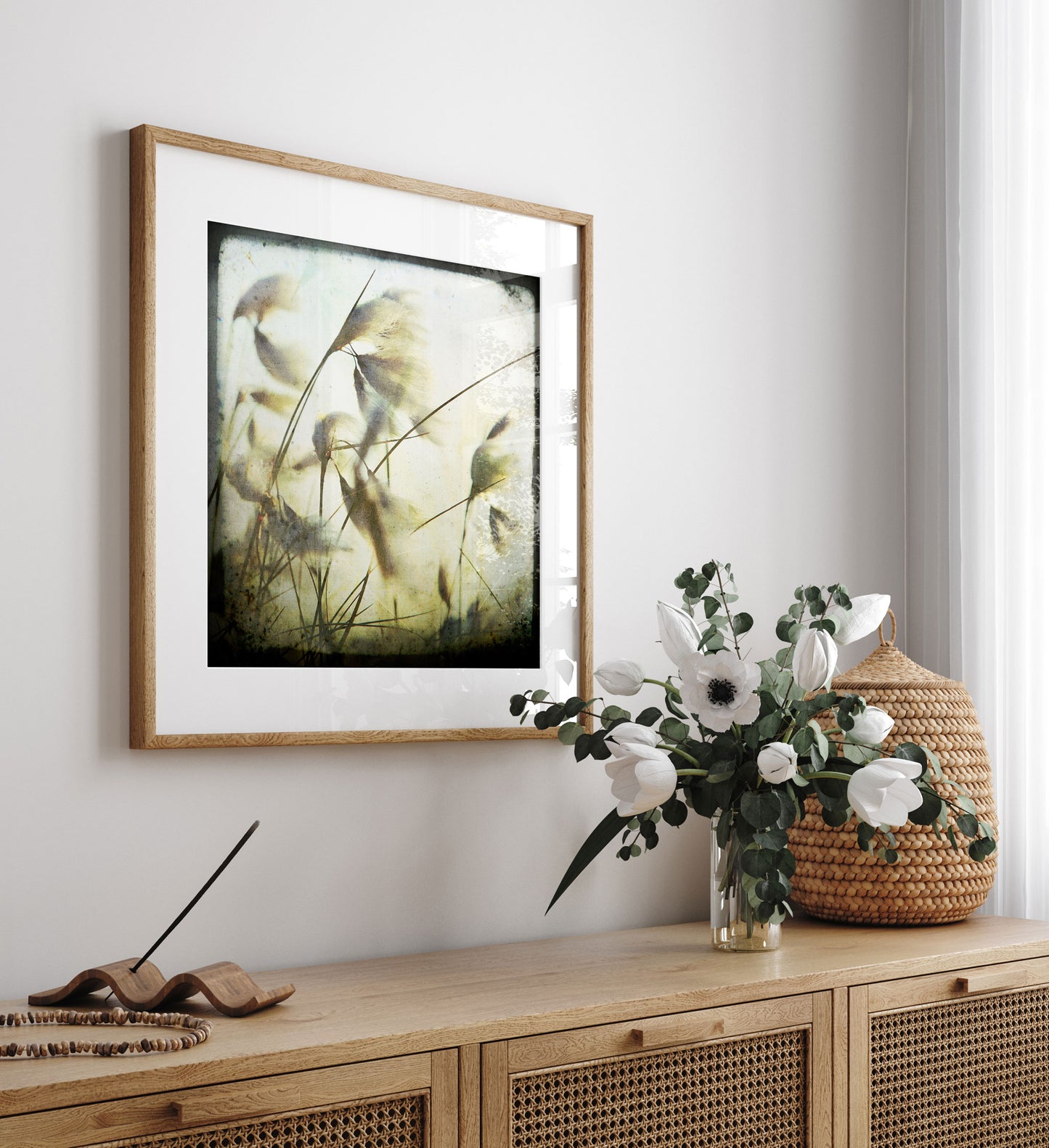 Cotton Grass