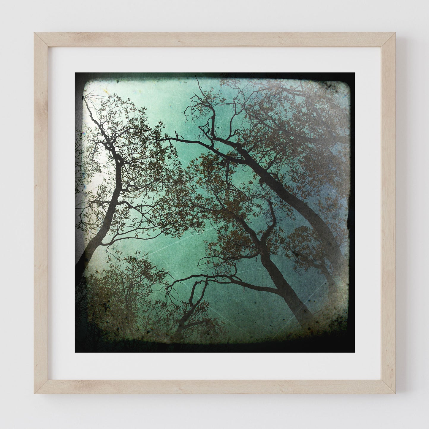 Trees #1