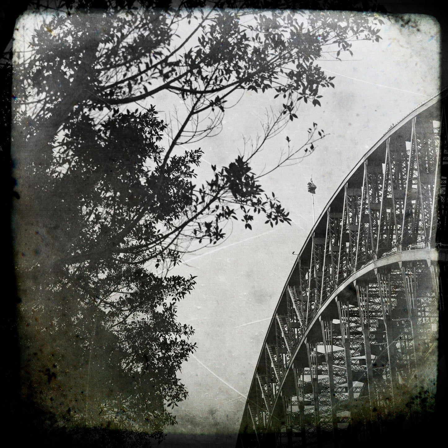 BW Sydney Harbour Bridge