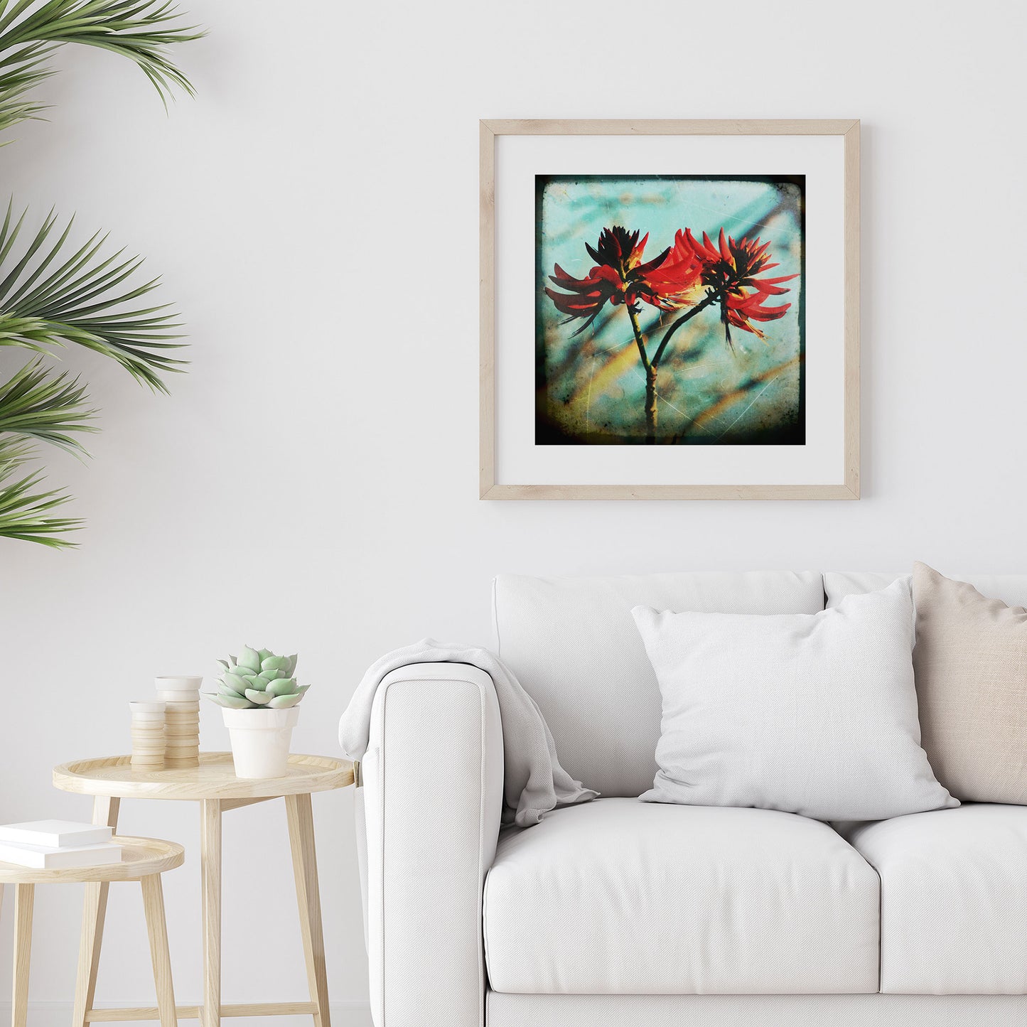 Coral Tree #1