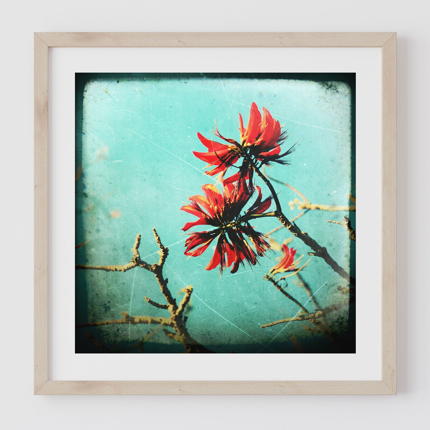 Coral Tree #4