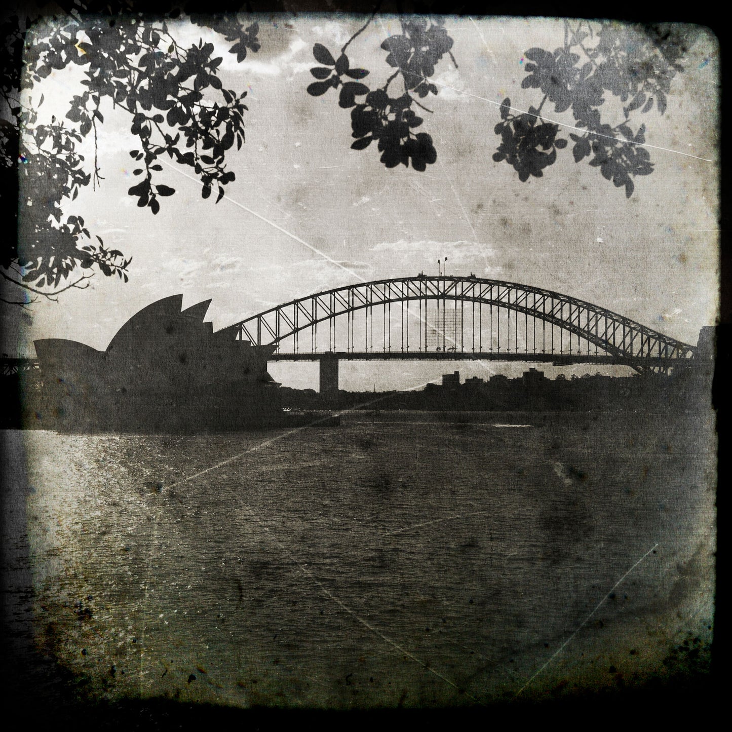 BW Sydney Harbour Bridge and Opera House