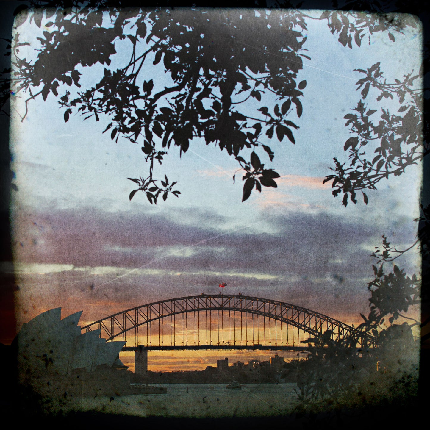 Sydney Harbour Bridge and Opera House from Mrs Macquaries Chair
