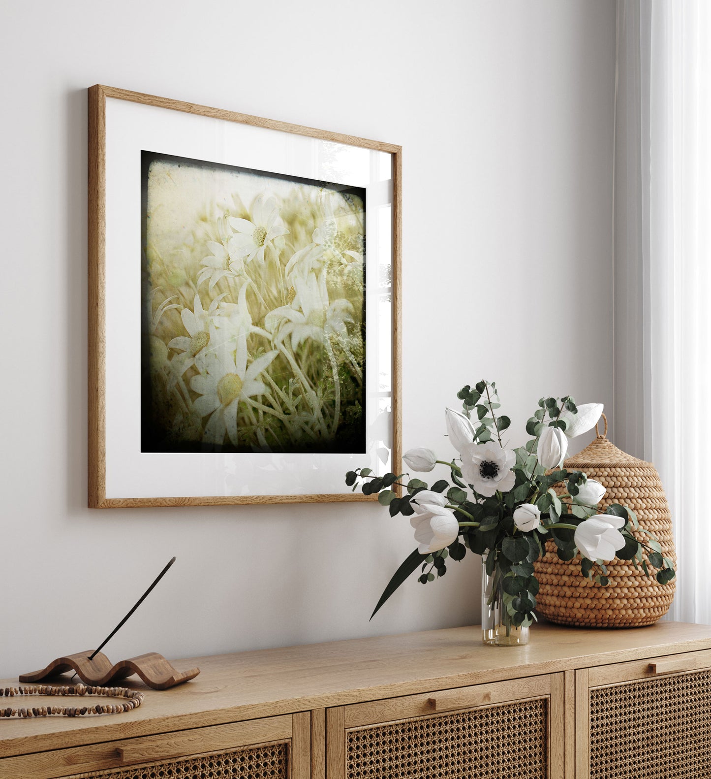 Flannel Flower