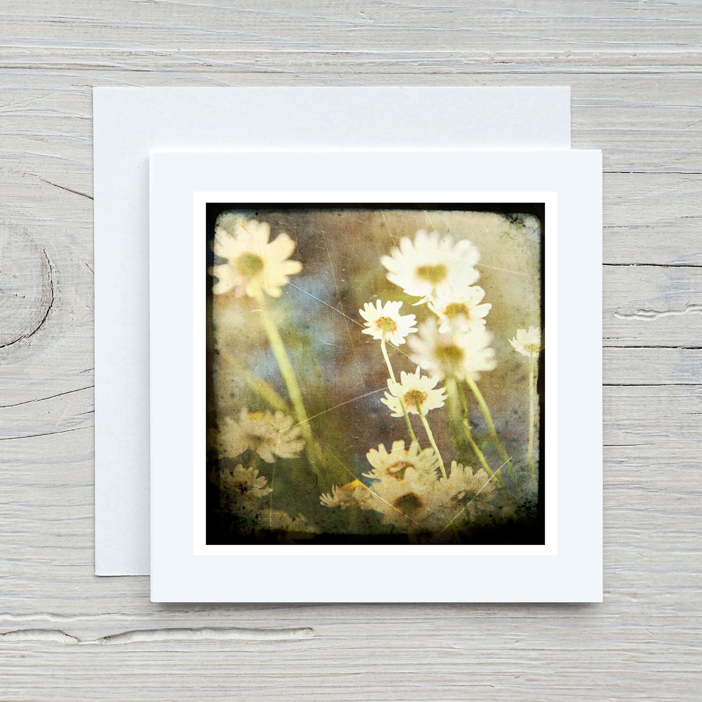 Greeting Card - Daisy #1