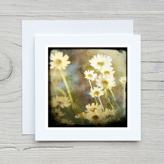 Greeting Card - Daisy #1