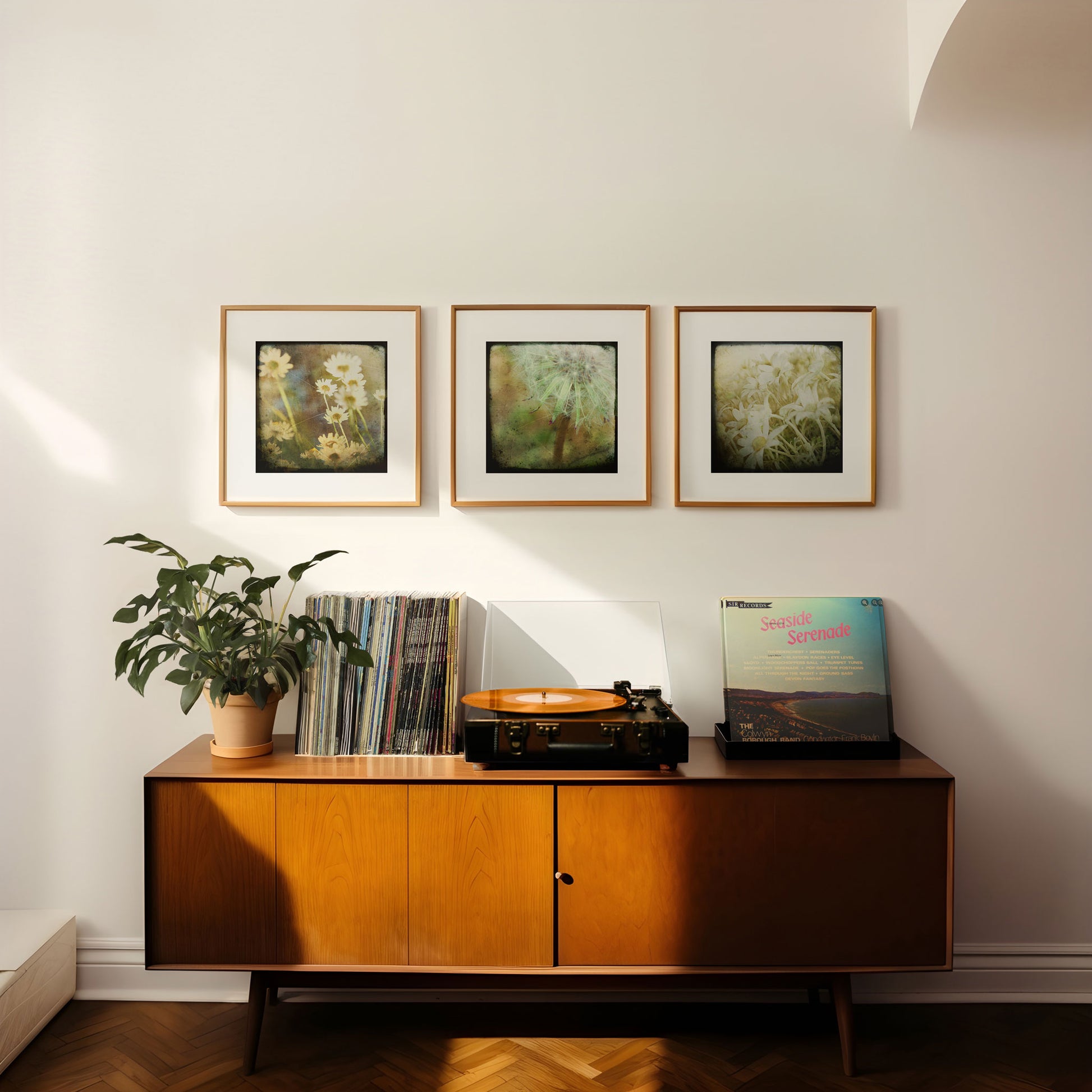 Series of three framed photos