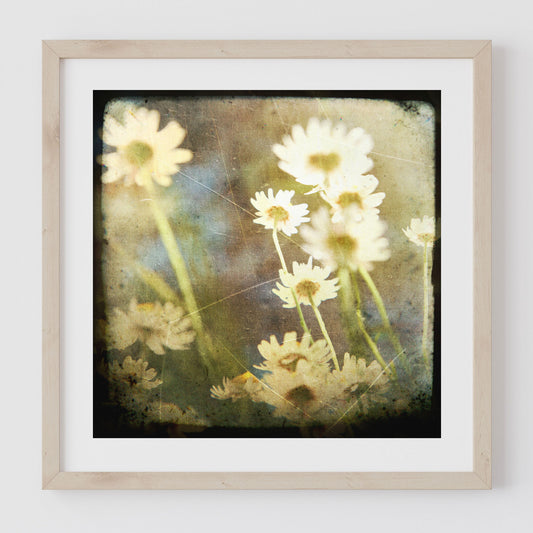 A framed artwork featuring a close-up of daisy flowers with a black, white, and yellow color scheme.