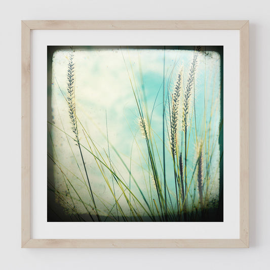 Grass #2