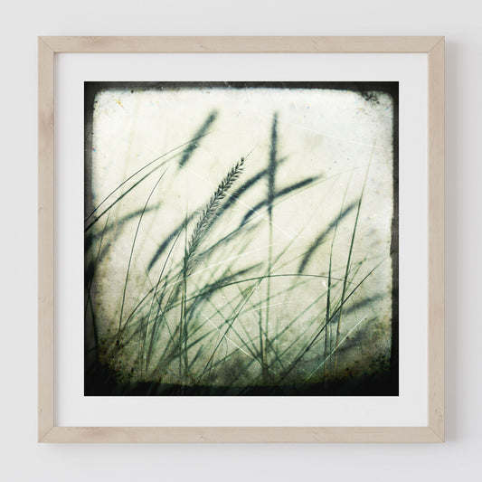 Grass #3