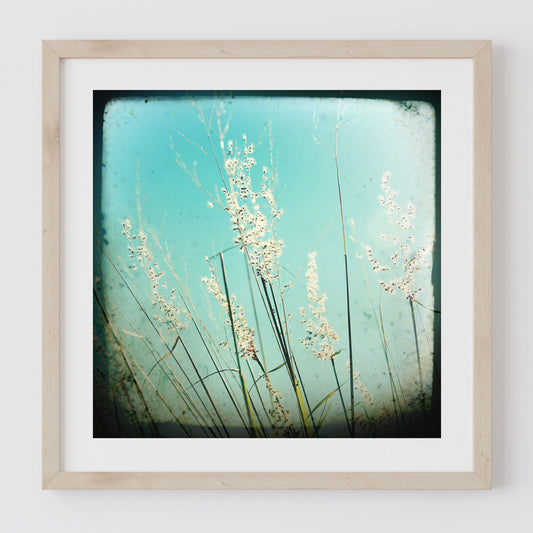 Grass #4