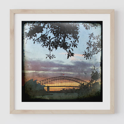 Sydney Harbour Bridge and Opera House from Mrs Macquaries Chair