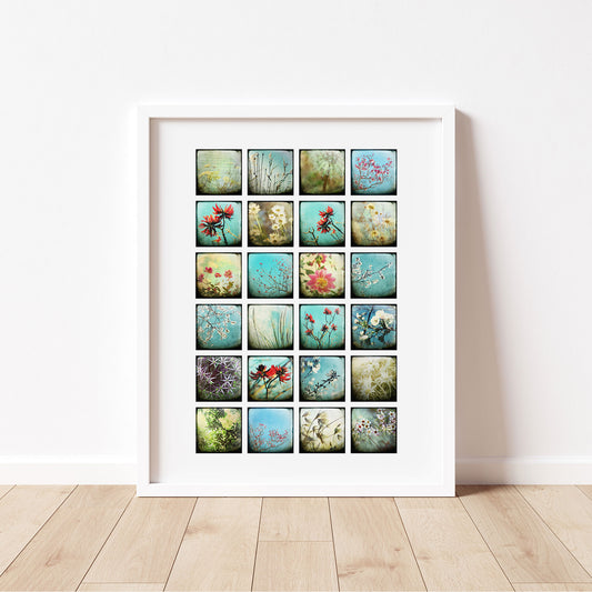 Collage - Flowers