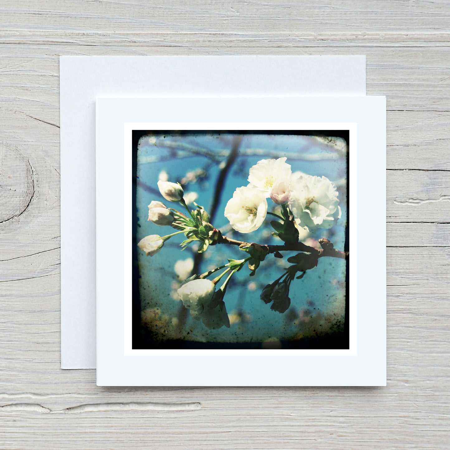Greeting Card - Blossom #1
