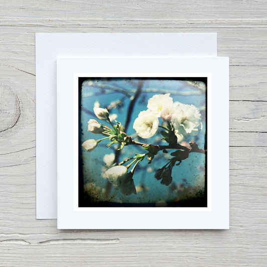 Greeting Card - Blossom #1