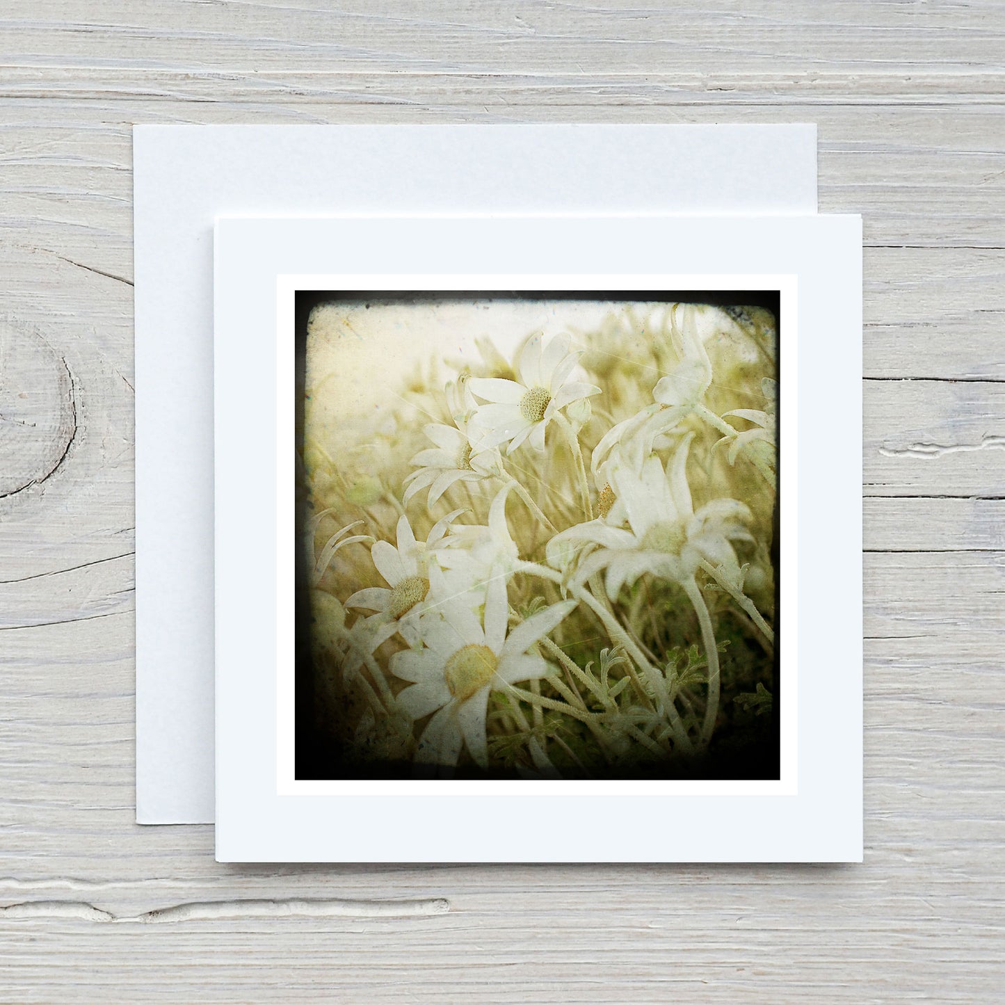 Greeting Card - Flannel Flowers