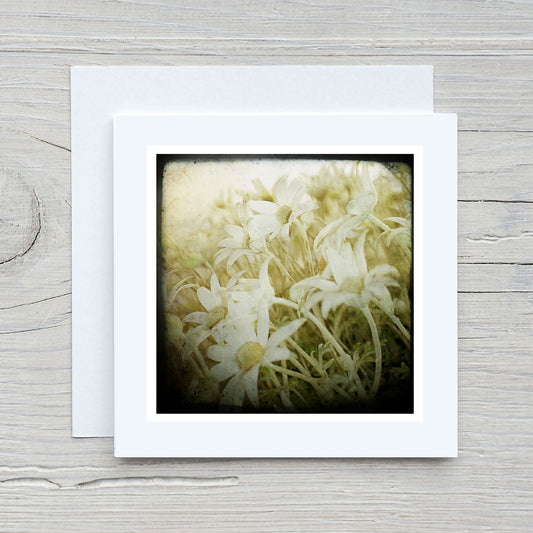 Greeting Card - Flannel Flowers
